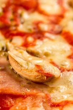 Closeup macro fresh baked round pizza with cheese ham tomato sauce mushrooms Stock Photos