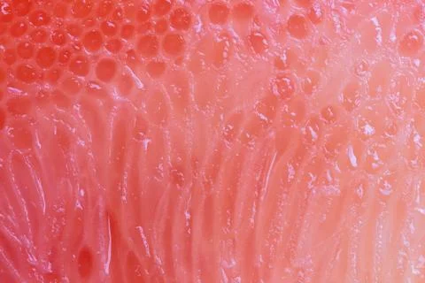 Closeup macro of grapefruit pulp. Fruit texture. Stock Photos
