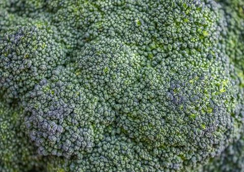 Closeup macro green texture view on broccoli vegetable inflorescences backg.. Stock Photos