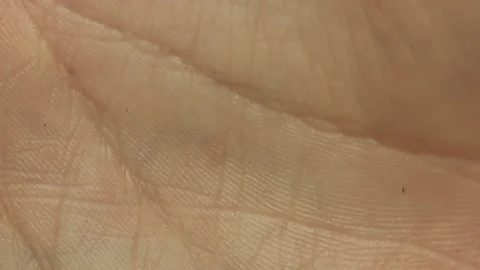 Closeup macro hand lines Vídeos de archivo 142930385