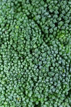 Closeup Macro Image of Green Broccoli Head Florets Stock Photos
