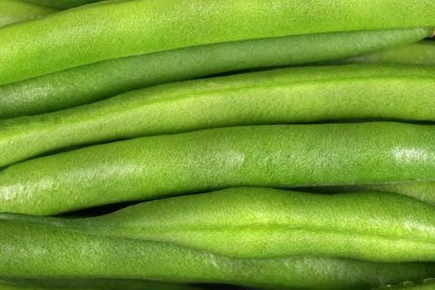Closeup Macro Image of Green String Beans Stock Photos