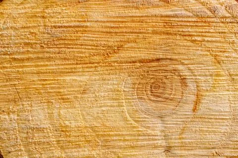 Closeup Macro Image of Surface of Cross Section of a Slice Cut of Wood Show.. Stock Photos