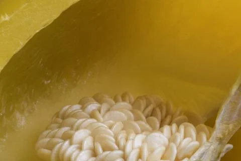 Closeup macro image of yellow bell pepper seeds, true yellow sweet peppers,.. Stock Photos
