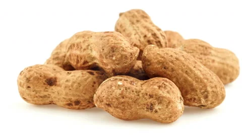 Closeup macro of peanuts isolated on white sliding from right to left Stock Footage 47434316