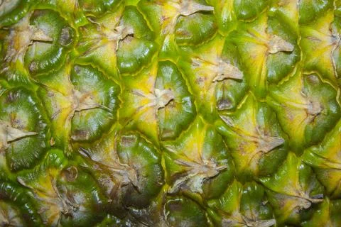 Closeup macro Pineapple bark background texture Stock Photos