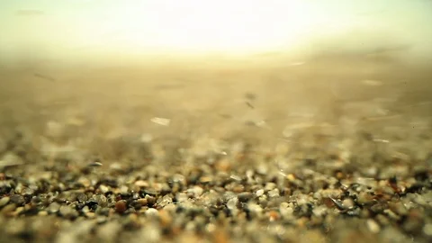 Closeup Macro Sand Blowing in Wind Видео 111603763