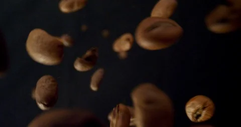 Closeup macro shoot of gourmet coffee beans in detail being dropped with Video stock 111370816