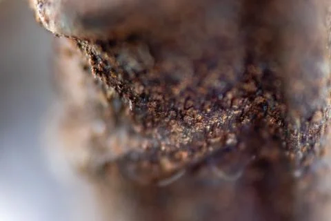A closeup macro shoot from a rusty screw Stock Photos