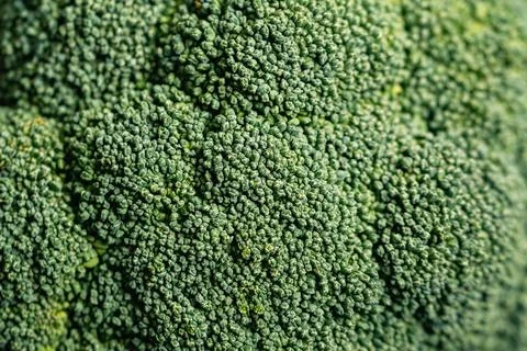 Closeup macro shot of broccoli cabbage Foto stock