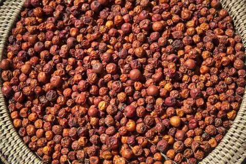 Closeup macro of small bright red fruits in a traditional basket in Laos Stock Photos