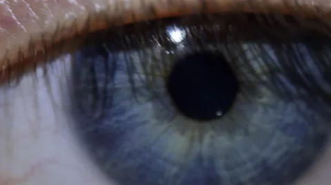Closeup macro video of an eye. 4K UHD Stockbeeldmateriaal 63372448