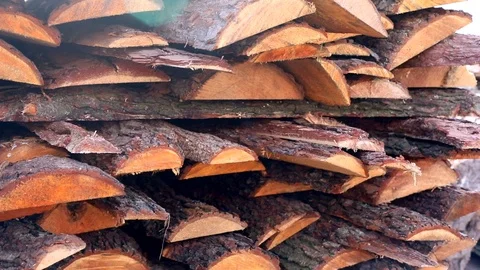 Closeup macro view of cut down tree trunks complicated outside on sunny street w 스톡 동영상 120338726