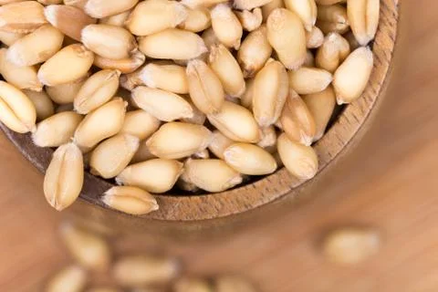 Closeup macro wheat grains background agriculture Stock Photos