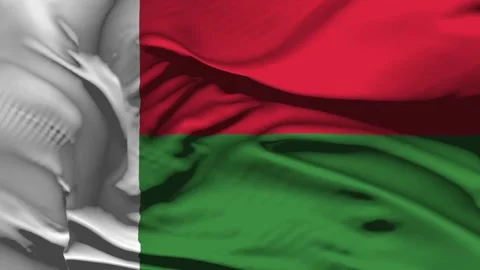 Closeup Madagascar  Flag Wave Loop waving in wind Realistic Madagascar  Flag Stock Footage 328220131