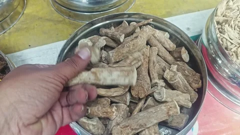 Closeup of a man checking the quality of dry withania somnifera or ashwagan.. Video stock 313382176