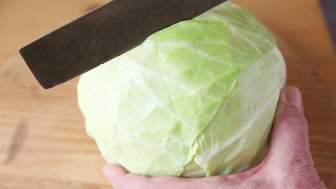 Closeup man cuts cabbage in half Stock Footage 76088411
