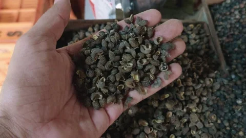 Closeup of man hand showing pepper corns from a bin or sack indian food marke Stock Footage 263163209