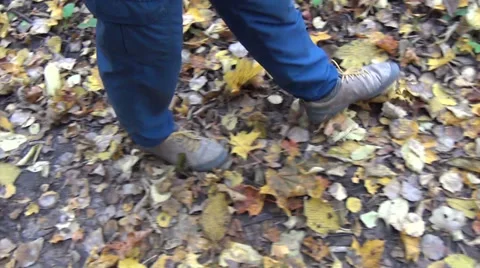 Closeup man legs walk between colorful autumn leaves Stock Footage 37261272