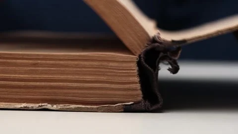 Closeup of man opens very old book and turns over yellowed, dilapidated pages. Video stock 255024055