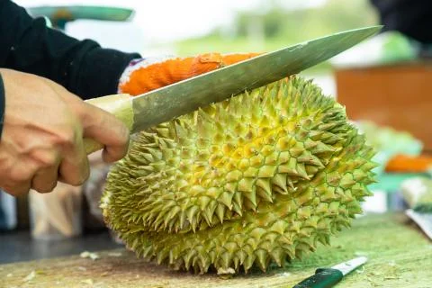 Closeup man peeling durian shell use knife, The durian is a king of fruit in Stock Photos