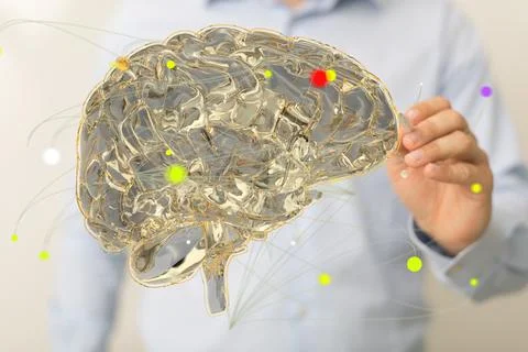 Closeup of a man pointing into 3D rendered human brain anatomical model Foto stock