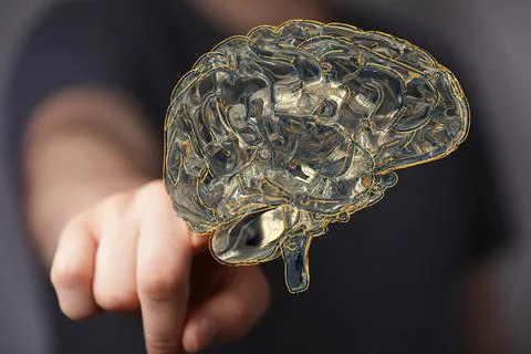Closeup of a man pointing into 3D rendered human brain anatomical model Stock Photos