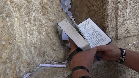 Closeup of a man reading the Torah at the Western Wall in Jerusalem, Israel Stock Footage 71508155