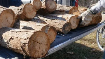 Closeup of a Man Unloading Firewood Logs from a Pickup Truck in 4k Stock Footage 85969402
