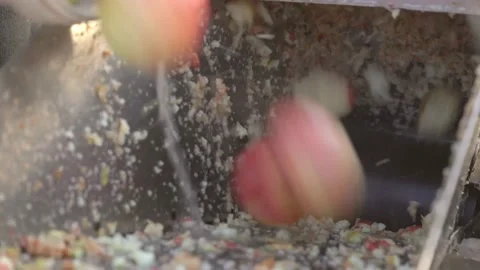 Closeup man uses collected fresh apples for crushing in grinding box before Stock Footage 167660300