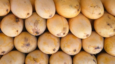 Closeup Mangoes Background Stock Footage 94533091