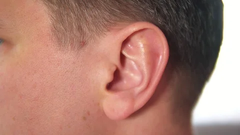 Closeup man's ear. Ear in profile Video stock 108776515