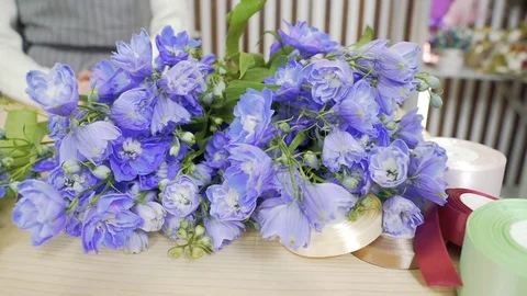 Closeup of many different flowers in a flower shop Stock Footage 124486281