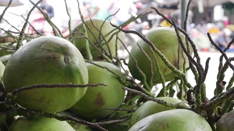 Closeup many green coconuts at a local market Stock Footage 81207261