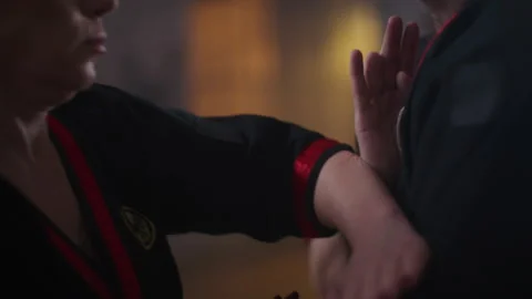 Closeup of martial artist's hands during combat Vidéo 258368024