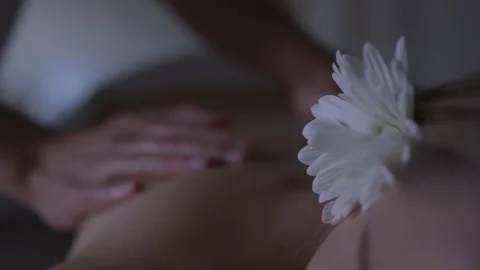 Closeup of a Masseuse Giving a Back Rub at a Day Spa 스톡 동영상 208708535