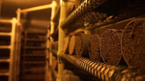 Closeup of Material Testing Lab Storage Area Stock Footage 40219257