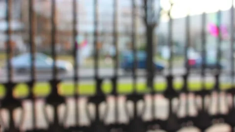 Closeup mature tree bark Stock Footage 123210601