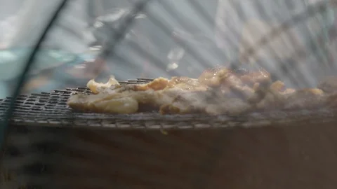 Closeup on meat barbecues being cooked on a grill Stock Footage 116594003