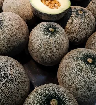 Closeup of melon fruit 写真素材