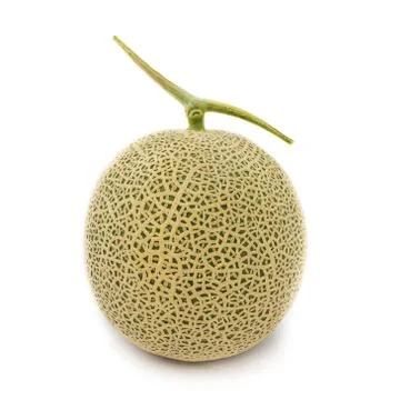 Closeup of melon isolated on white background. Stock Photos