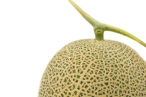 Closeup of melon isolated on white background. Stock Photos