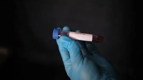Closeup of microbiologist or medical worker hands with blue surgical gloves look Stock Footage 166824155