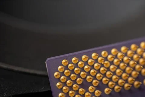 Closeup of microprocessor pins. Gold connectors of CPU, Central processing Foto stock