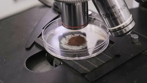 Closeup Of Microscope With Ray Of Light Stock-Footage 130009443