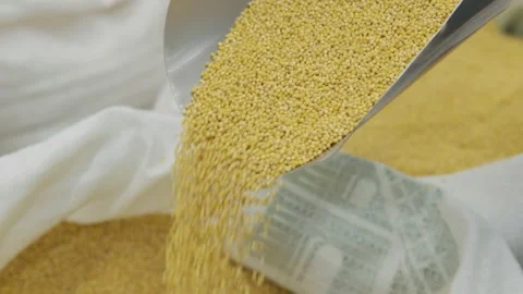 Closeup of Millet Pouring from Spoon into Sack Vídeo Stock 172063576