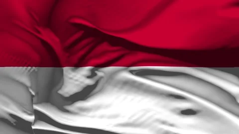 Closeup Monaco Flag Wave Loop waving in wind Realistic Monaco Flag backgroun Stock Footage 332830086