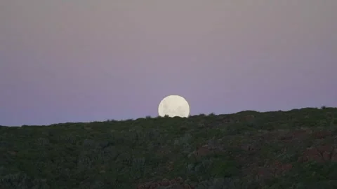 Closeup of Moon Setting Over Grassy Hill At Dusk Vidéo 276428972