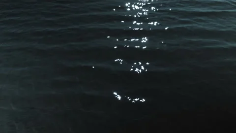 Closeup of a moonlit path on the water surface of a river. 스톡 동영상 115583215