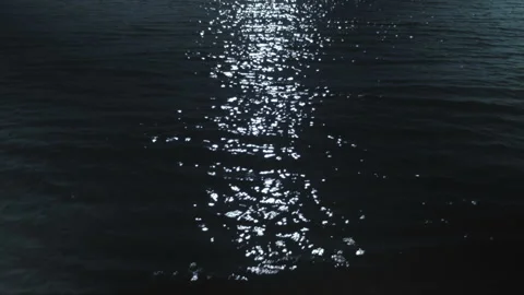 Closeup of a moonlit path on the water surface of a river. Vídeos de archivo 115588506